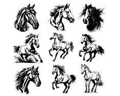 six horses running and galloping in the wind, black and white drawing on a white background