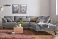 a living room with a gray couch and pink rugs on the wooden flooring