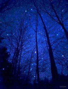 the night sky is filled with stars and trees