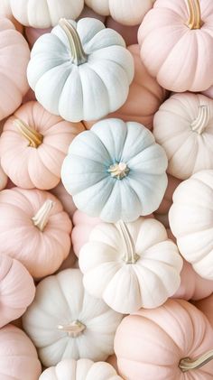 many white and pink pumpkins are arranged together