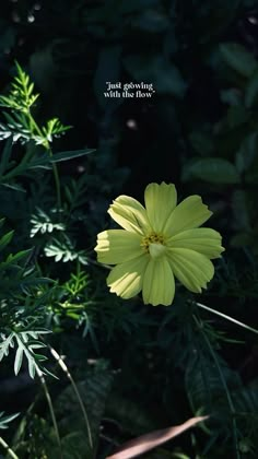 a yellow flower is in the middle of some green plants and leaves with a quote above it