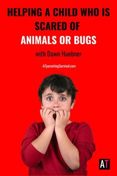 Learn how to help kids with fears of animals or insects with expert advice from author and psychologist Dawn Huebner. These fears can be all consuming that impacts the things that kids love and enjoy. Help Kids, Psychologist, The Things, Insects