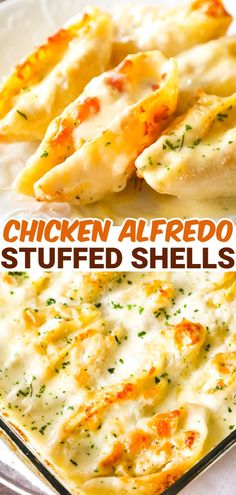 chicken alfredo stuffed shells in a casserole dish with text overlay that reads chicken alfredo stuffed shells