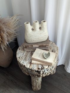 a table with a book and some plants on it