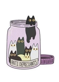 an image of cats in a jar with the words anti depressants on it