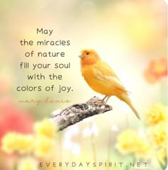 a yellow bird sitting on top of a tree branch with flowers in the foreground