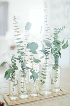 several vases with plants in them sitting on a table