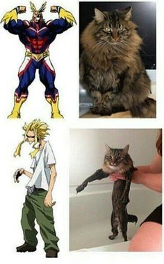 four different pictures with one cat and the other person in front of them, including an anime