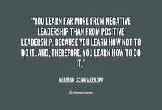 a quote from norman schwartz on how to use positiveness