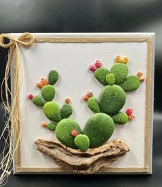 a small cactus is sitting on top of a piece of wood