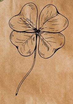 a drawing of a four - leafed clover on a piece of brown parchment paper