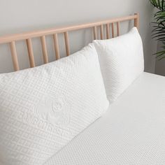 a bed with two pillows on top of it and a potted plant in the corner