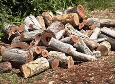 large pile of cut logs in the grass