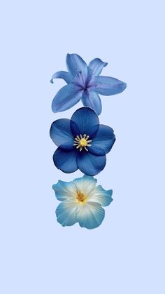 three blue flowers floating on top of each other