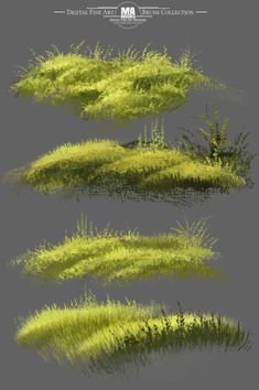 some grass that is growing out of the ground