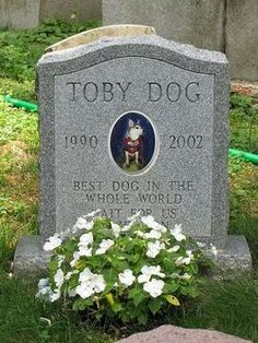 a headstone with a dog on it and flowers in the foreground, surrounded by green grass