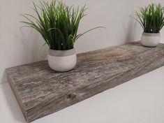 three potted plants sitting on top of a wooden shelf