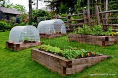 several wooden raised garden beds with plants growing in them