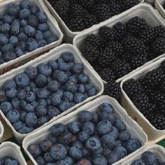 blueberries and raspberries in plastic containers on display at a farmers'market