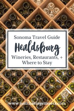 Are you planning your Healdsburg itinerary? Check out the best things to do in Healdsburg, CA with this weekend in Healdsburg guide. Learn the best wineries in Healdsburg, best restaurants in Healdsburg, and where to stay in Healdsburg. If you’re wondering what to do in Healdsburg, read this guide! Things To Do in Sonoma County | Healdsburg, California Things to Do | Weekend in Sonoma County #healdsburgwineries #healdsburgfood #healdsburgwinery Weekend In Sonoma, Girls Trips, California Travel Guide