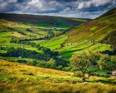 a lush green valley surrounded by mountains under cloudy skies with trees in the foreground