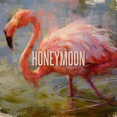 a painting of a pink flamingo standing in water with the words honeymoon on it