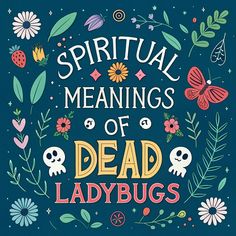 Energizing : Have you ever found a tiny, motionless ladybug and wondered what it might mean? These small, spotted insects are often seen as lucky charms when they'...