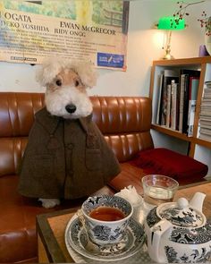 a dog dressed up in a coat sitting at a table with tea cups and saucers