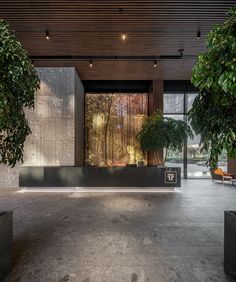 an indoor area with trees and benches