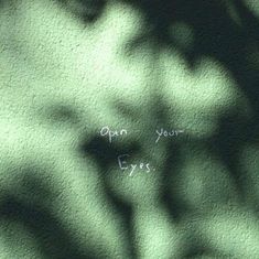 the shadow of a tree with writing on it