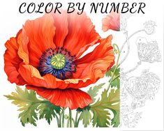 an image of a red flower with the words color by number