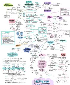 a whiteboard with many different types of diagrams and words on the side of it