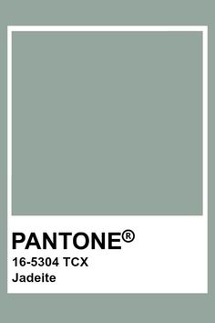 the pantone color is shown in white and gray, with an empty square at the bottom