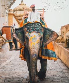 a man riding on the back of an elephant down a brick road with birds flying overhead