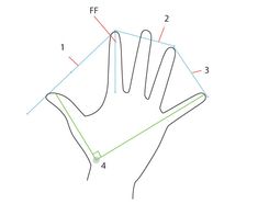 a drawing of a hand holding something in it's left hand, with numbers on the top and bottom