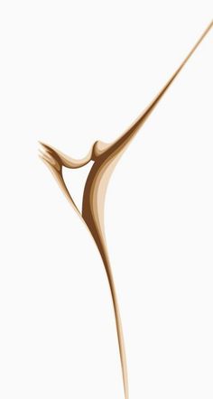 a white background with brown lines in the shape of an abstract figure on it's side