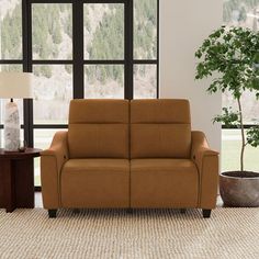 a living room scene with focus on the reclining sofa and potted tree in the corner