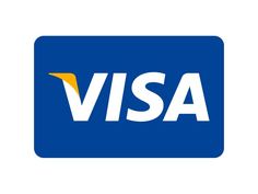 the visa logo on a white background