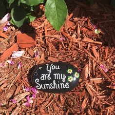 a rock that says you are my sunshine sitting on the ground next to some flowers