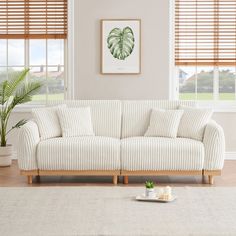 a living room scene with focus on the sofa