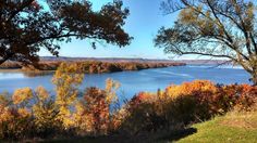 a lake surrounded by trees with fall foliage on the ground and in the foreground