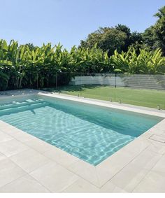 an empty swimming pool surrounded by greenery