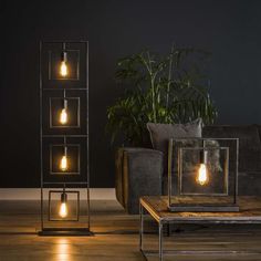 two lamps sitting on top of a wooden table next to a plant in a living room