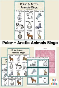 polar and arctic animals bingo game with the words polar and arctic animals on it's side