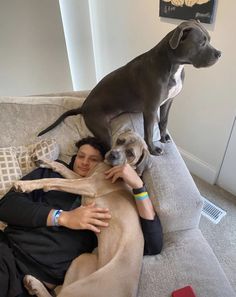 a woman sitting on a couch with two dogs and one is holding the dog's head