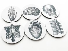 Rubber Anatomy Coasters | 23 Infectiously Cool Desk Accessories For Medical Nerds Med School Graduation Gift, Cool Desk Accessories, Brain Anatomy, Heart Party, Medical Anatomy, Physician Assistant, Anatomical Heart, Cardiology