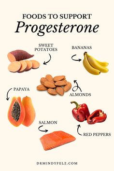 Foods That Support Progesterone If you're looking to naturally boost your progesterone levels, adding these nutrient-rich foods to your diet can make a big difference. Incorporating these foods into your meals can help support healthy progesterone levels and overall hormonal health! 🌿