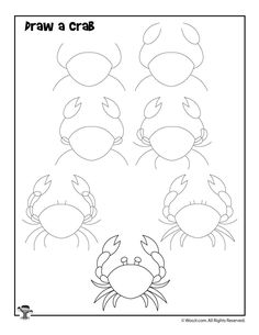 the crab is drawn and ready to be colored