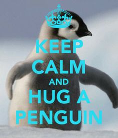 a penguin standing on its hind legs with the words keep calm and hug a penguin