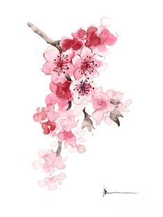 a painting of pink flowers on a white background